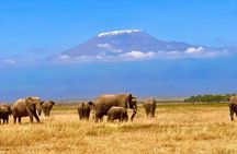 2 Days at Amboseli National park