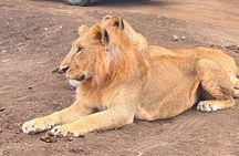 2 Days at Amboseli National park