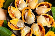Hanoi Michelin Selected Street Food Walking Tour