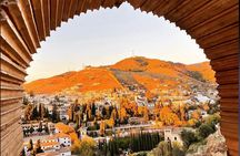 Private Tours Alhambra : Tickets & Tour Guide & Skip-the-Line