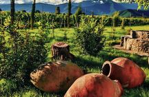 Private Tour From Tbilisi to Kakheti Sighnaghi with Wine Tasting 