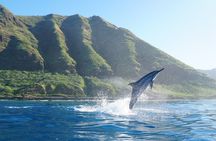 Oahu Dolphin Watch Cruise with Waterslide & Snorkeling