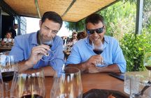 Private Mendoza WineTour: 3 Premium Wineries Michelin-Star Lunch