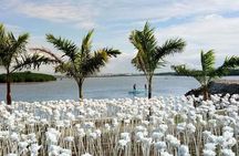 8-Day Palawan, Boracay & Cebu Islands in the Philippines Package