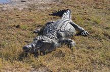 Full Day Chobe Trip with Lunch 