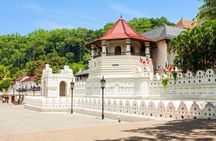 10 Days/ 9 Nights - Heritage Wildlife and Waves in Sri Lanka