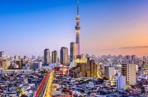 From Tokyo: Full Day Tokyo Private City Tour