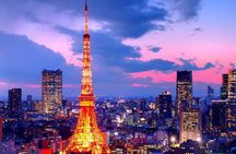 From Tokyo: Full Day Tokyo Private City Tour