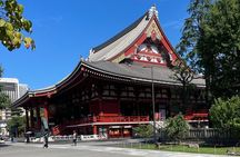 From Tokyo: Full Day Tokyo Private City Tour