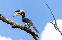Yala National Park Private Tour with Fast Entry