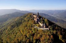 Private Sightseeing Flight around Strasbourg