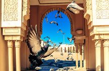 Casablanca City Tour Hassan II Mosque with Ticket Included
