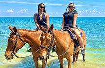 Dunns River Falls Zipline Bamboo Rafting And Horseback Ride Combo
