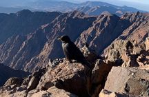 Private 2-Day Toubkal Trek from Marrakech with Accommodation