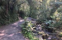 Scenic Short Hike Tour - McLaren Falls and Puketoki Reserve
