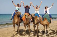 Tangier Half-Day Private Tour & Camel Ride Experience 