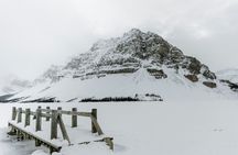 Along Icefields Parkway: Peyto Lake, Bow Lake & Columbia Icefield