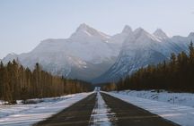 Along Icefields Parkway: Peyto Lake, Bow Lake & Columbia Icefield