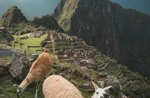 Private Machu Picchu Guided Tour from Aguas Calientes