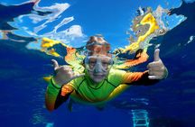 Maui Luxury Snorkeling Molokini aboard Air Conditioned Yacht Elua