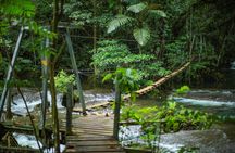Full Day Tour Cascades Adventure, Turtles and Blue Lagoon