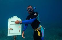 Lagoon Bliss Cultural Village and Hideaway Snorkeling Escape