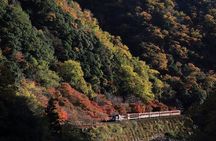 Arashiyama Walking Tour with Optional Sagano Romantic Train Ride