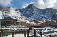 Private Hakone Tour from Tokyo
