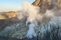 Private Hakone Tour from Tokyo