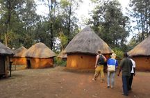 Nairobi Tour Giraffe Centre ,Beads factory and Bomas of Kenya