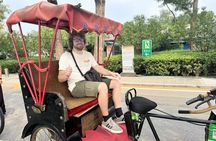 Beijing Half Day : Summer Palace Tour with Hutong Rickshaw Rides