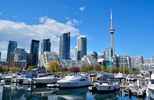 Guided Walking Tour in Toronto