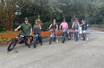 3-Hour Wilmington E-Bike Airlie Gardens Self-Guided Tour