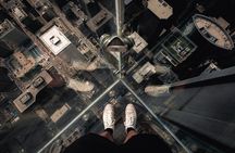 Best of Chicago Tour with Skydeck + Shoreline Cruise