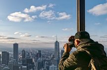 Best of Chicago Tour with Skydeck + Shoreline Cruise