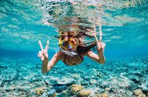 Speed Boat Activity with Snorkeling and Parasailing in Punta Cana