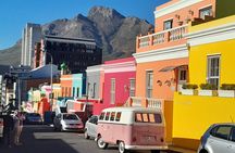 Cape of Good hope, Boulders and Chapman Peak Full Day Tour