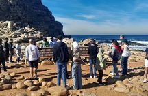 Cape of Good hope, Boulders and Chapman Peak Full Day Tour