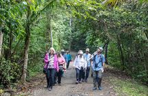Hiking Tour at Panama City