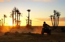 Quad Bike and Camel Ride in Marrakech Palmeraie