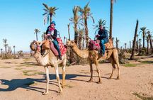 Quad Bike and Camel Ride in Marrakech Palmeraie