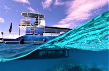 Underwater excursion to Bora Bora