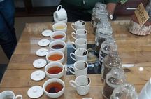 Colombo Private City Tour by Tuk Tuk 