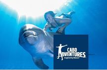 The only Natural Space Dolphin Encounter in Cabo Optional Pickup!