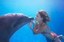 The only Natural Space Dolphin Encounter in Cabo Optional Pickup!