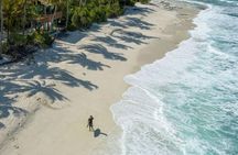 Tiger Shark Diving in Fuvahmulah:8 Days, 7 Nights 15 dives offer 