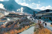 Private Tour to Mount Fuji & Hakone with English Speaking Guide
