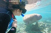 Swim With Manatees-Private Tour with In Water Guide/Photographer