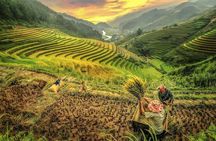 2-Day Motorbike Tour to Mu Cang Chai Loop from Sapa