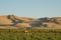 7 Days Golden Gobi Tour